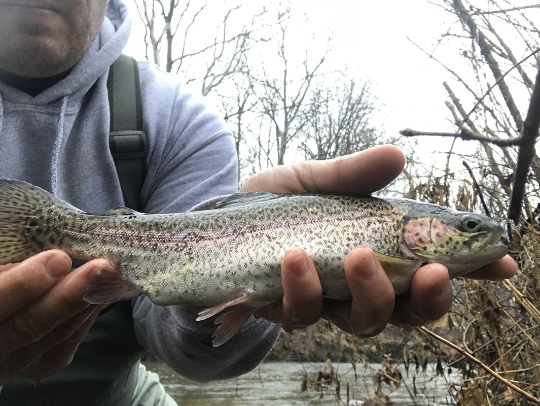 3972647F-132B-4A77-8EE4-18BBA10BDE6C