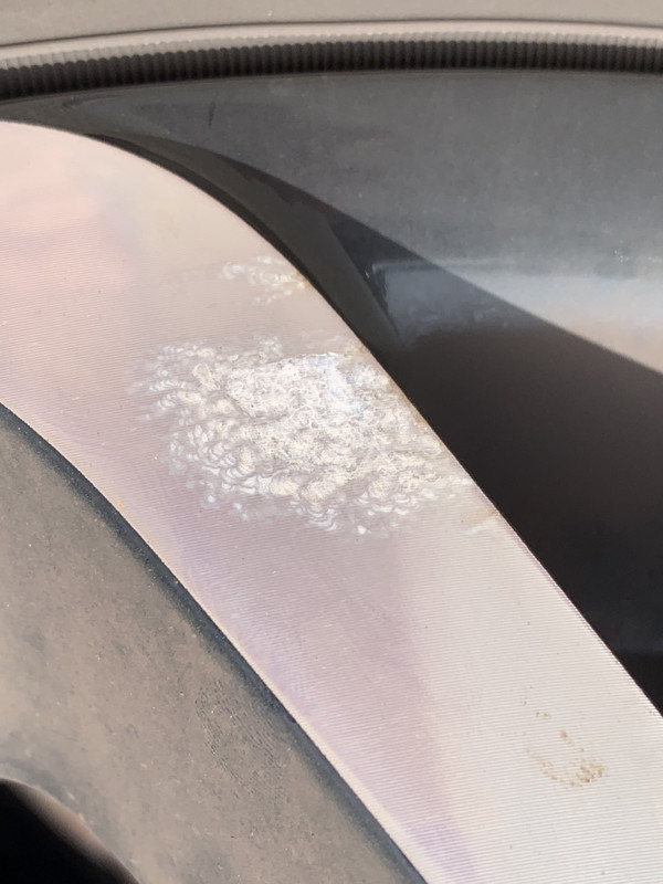 91B9CA53-9130-4312-9404-9641FE2EC25C