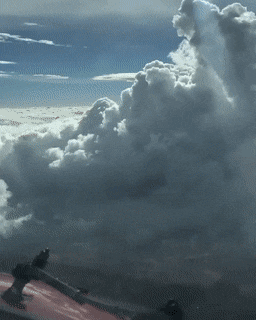 GIFs-14