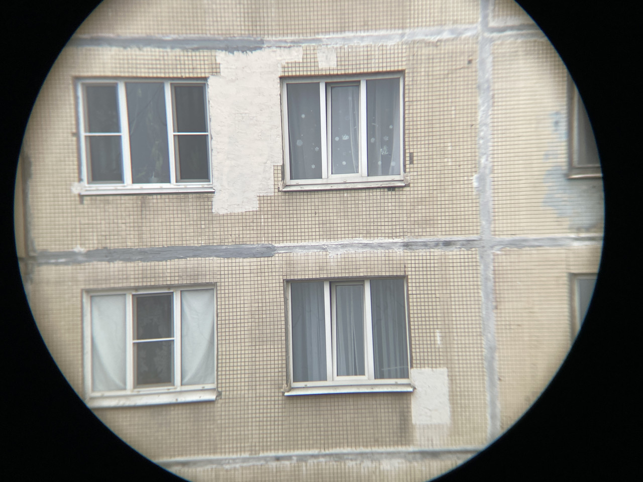 image 06 12 25 01 25 1