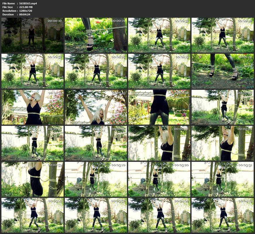 565B565.mp4