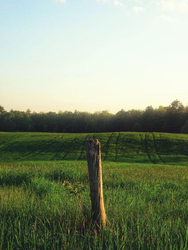 photo 28 2026 01 16 22 06 21