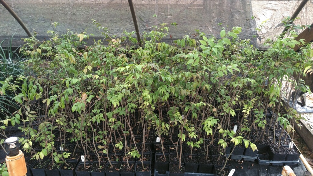 1A9BE4AA-7995-4237-B68D-AB70AFD3E360