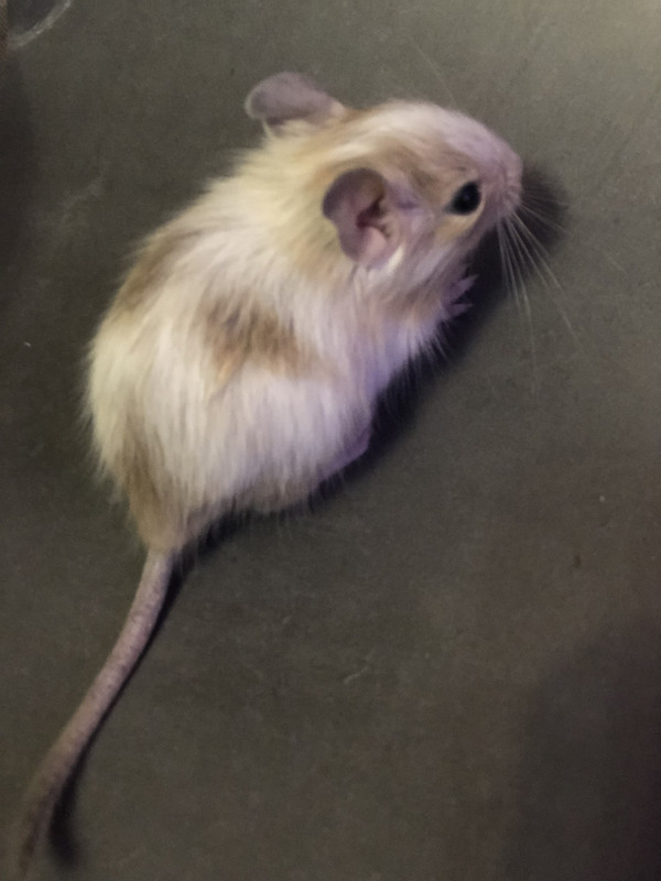 575231C1-E6EC-4C44-82CA-05CBC1D469ED