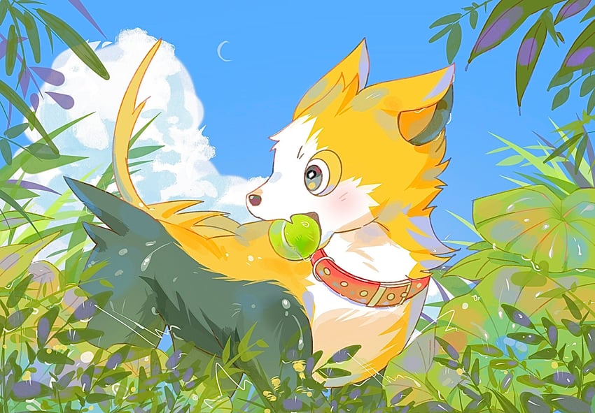 boltund-pokemon-drawn-by-seta629211-samp