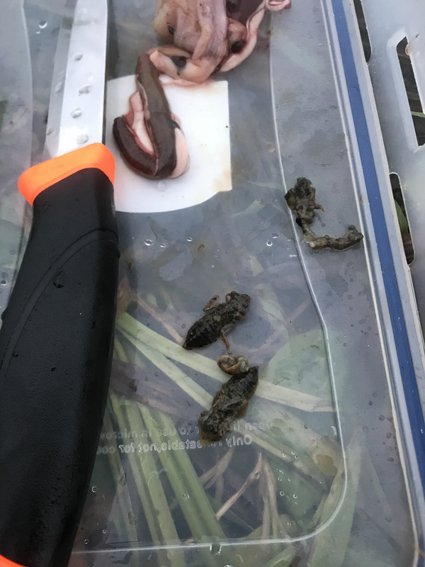 FEBE9803-D692-4F5E-8B84-636AB4187332