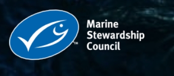 Logo 6