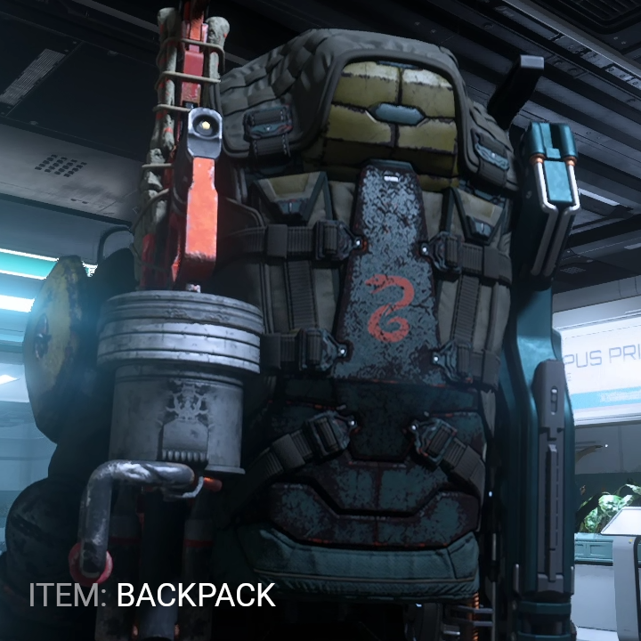 Standard Backpack