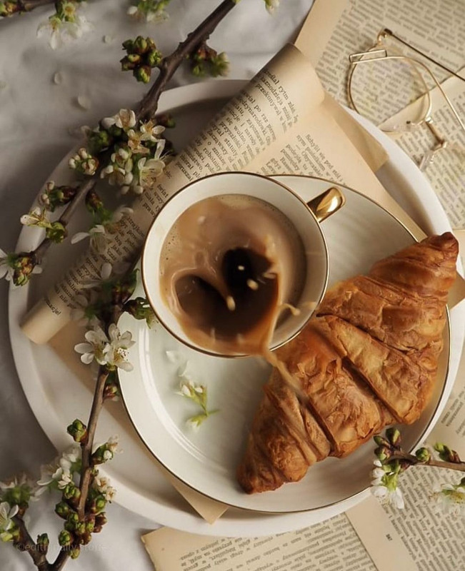 Screenshot_20231210_174804_Instagram