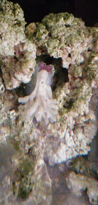 BC1C38FF-74FB-4211-AC2A-87F9516CE080