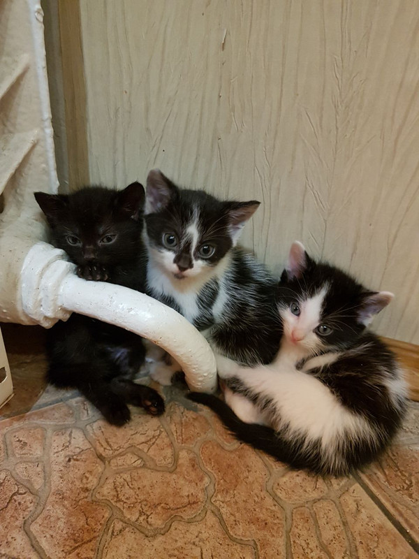 C72A5A7E-5064-49EB-B7ED-F8C0BC025760