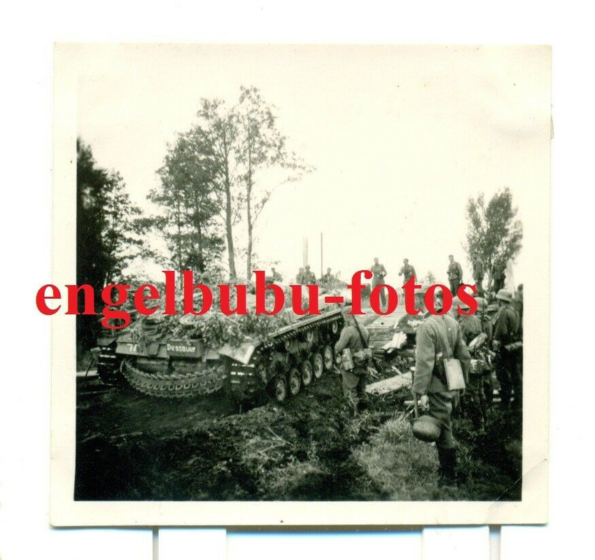 FOTO - STURMGESCHÜTZ - PANZER - AUFSCHRIFT DESSAUER - TARNUNG