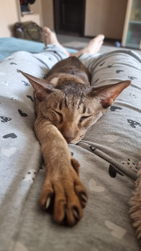 ubnJRxw8hHif7_WraRORbHoUVLu57vYMHKn3RQ9vu5RILI6MJFX1BqRLdqUaSIeREfg0mGY5t-JLzZfzPmU4geiq