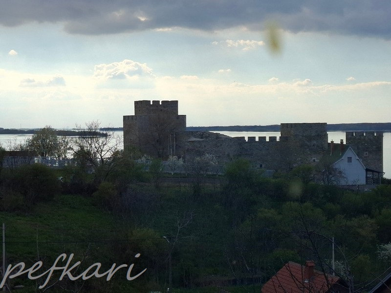 Slika