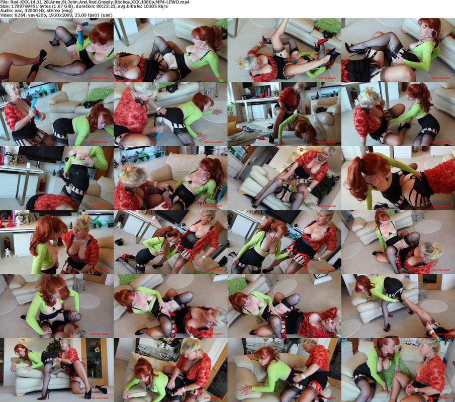 11082024222641screenshot