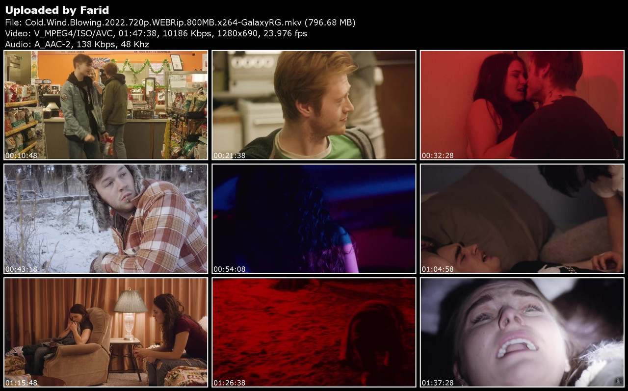Cold-Wind-Blowing-2022-720p-WEBRip-800-MB-x264-Galaxy-RGTGx.jpg