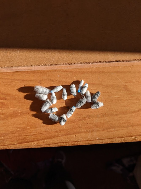 after about 750 pellets