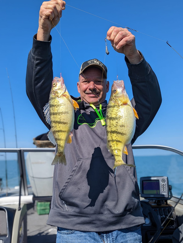 340437680_3430178330644145_2445073922931579153_nfish