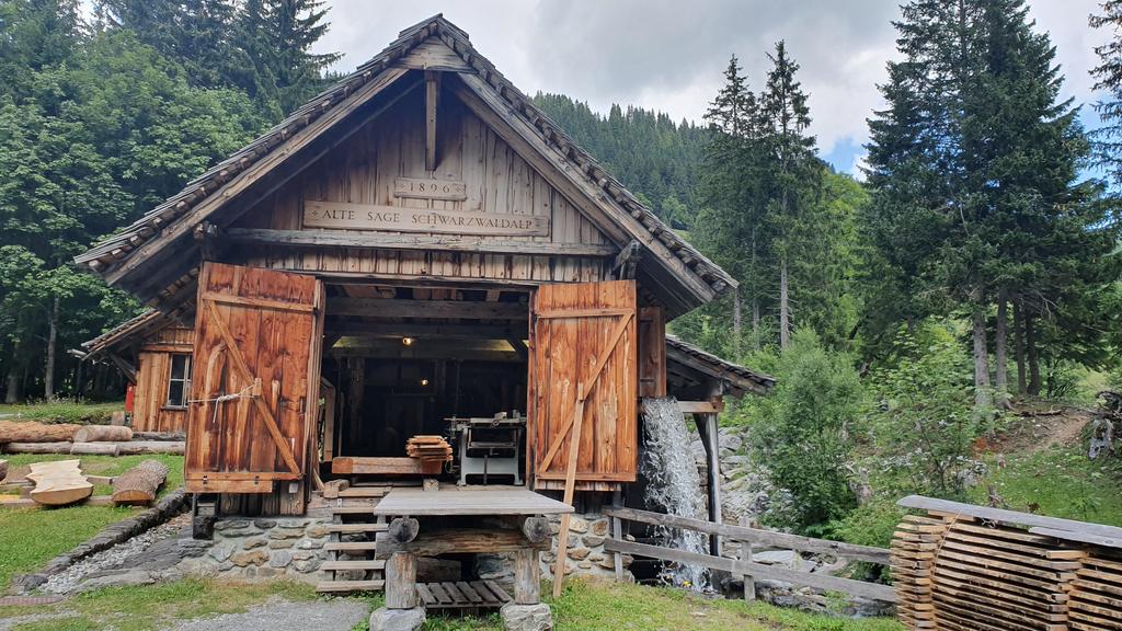 ROSENLAUI: otra perspectiva del Eiger - CÓMO SUIZA NOS ATRAPA POR 5º VERANO CONSECUTIVO + CARENNAC Y LOUBRESSAC (7)