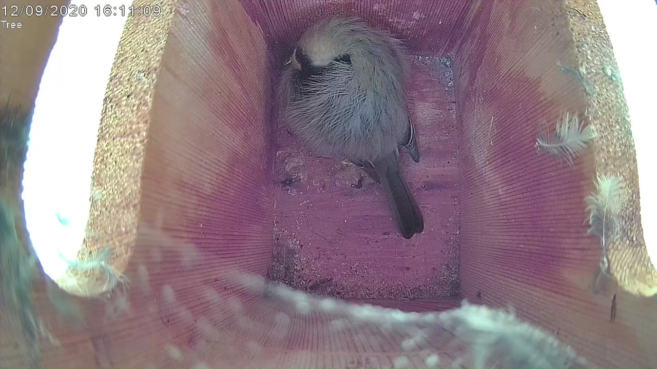 72EFF1B0-378F-4BA2-91D5-A0A1E66BB482