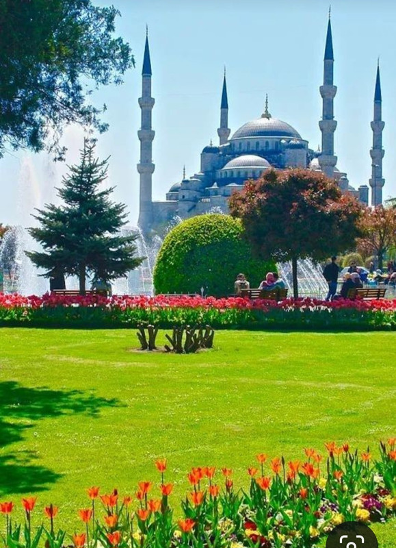 Screenshot_20231002_221054_Pinterest