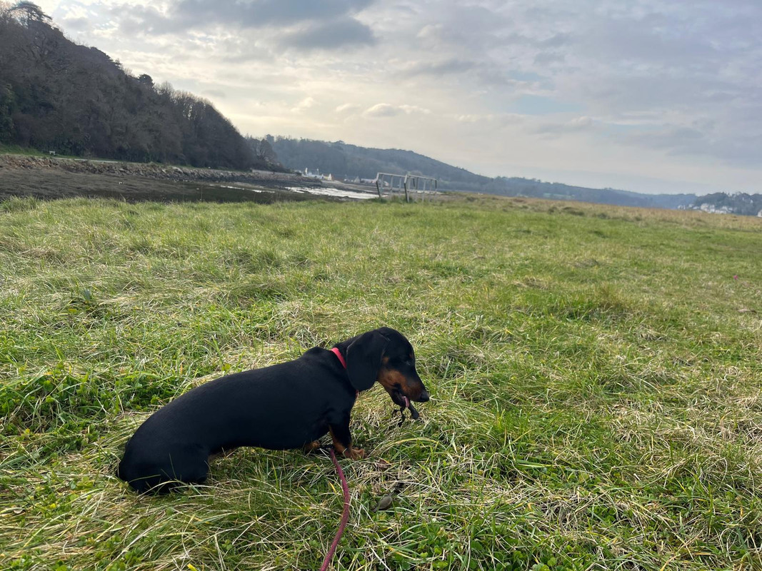 [Image: IMG-20250209-WA0013.jpg]