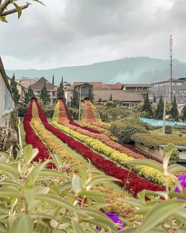 Rainbow Garden