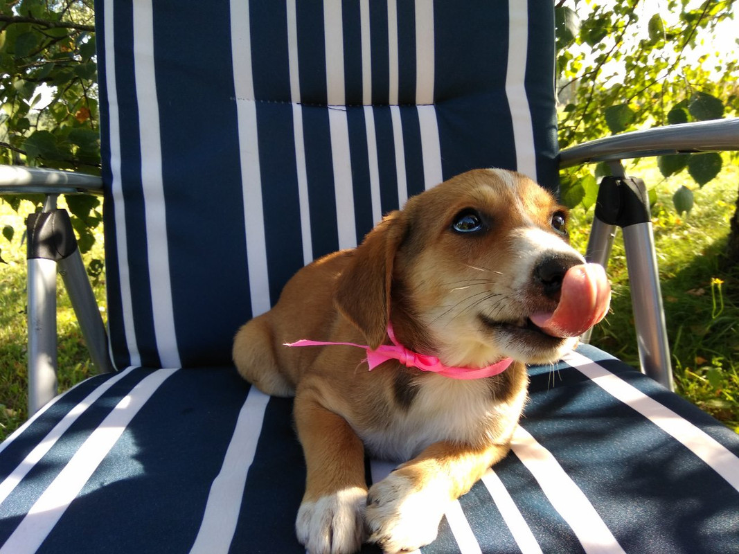 изображение_viber_2019-08-24_17-09-30