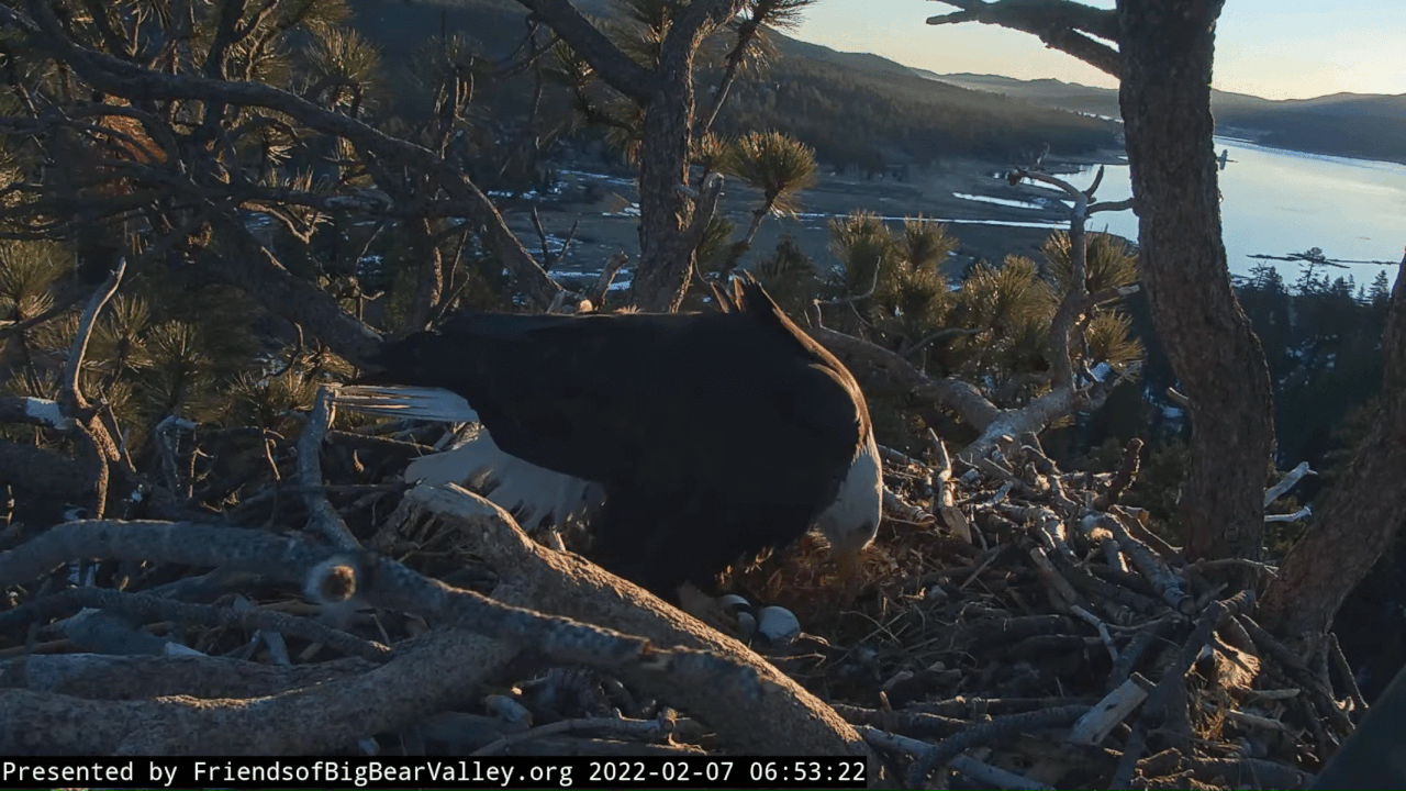 Webp.net-gifmaker (4)