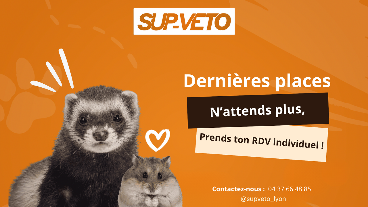 Journée Portes Ouvertes