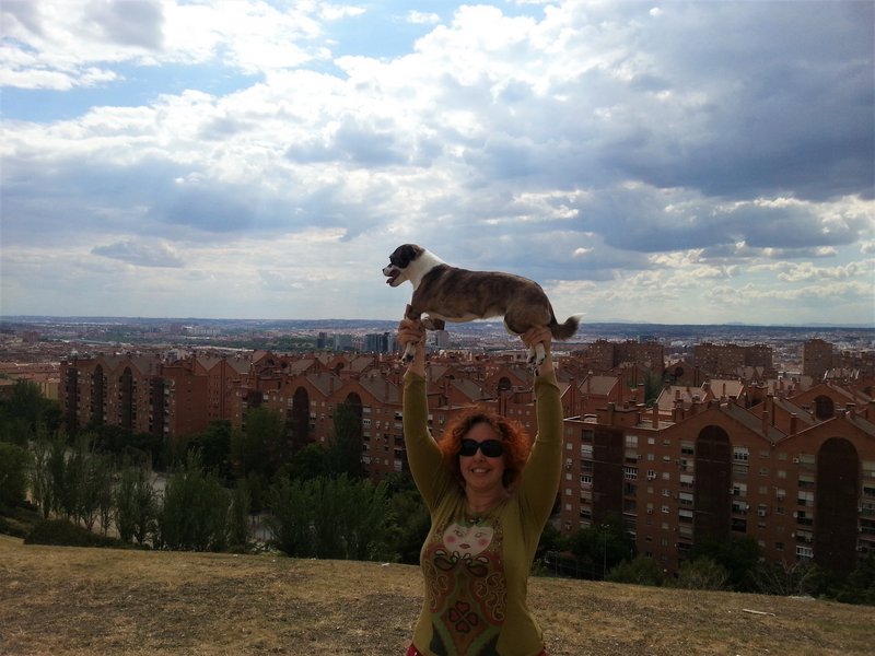 PARQUE CERRO DEL TIO PIO-2015/2016-MADRID - Paseando por España-1991/2016 (6)