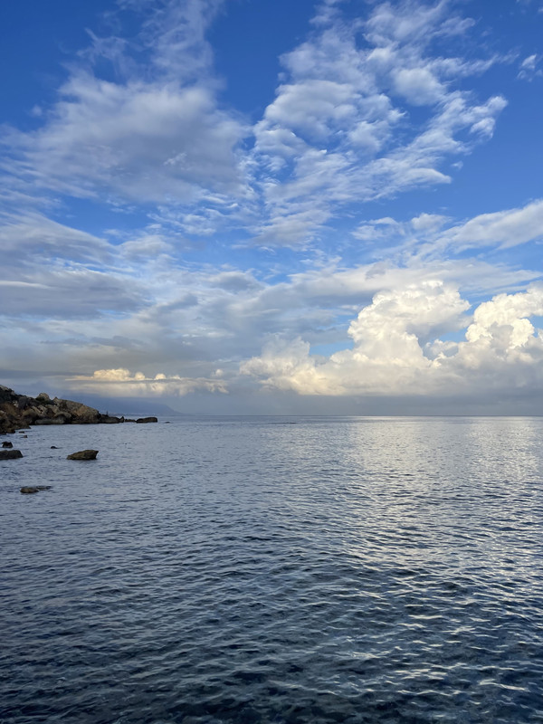 42D072F3-94DE-4EA9-B631-BF2CECD73681