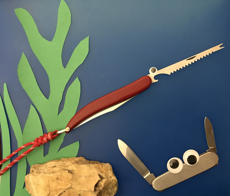 1C90A0F1-C0FD-4DA3-BCBD-D11B6DA35065