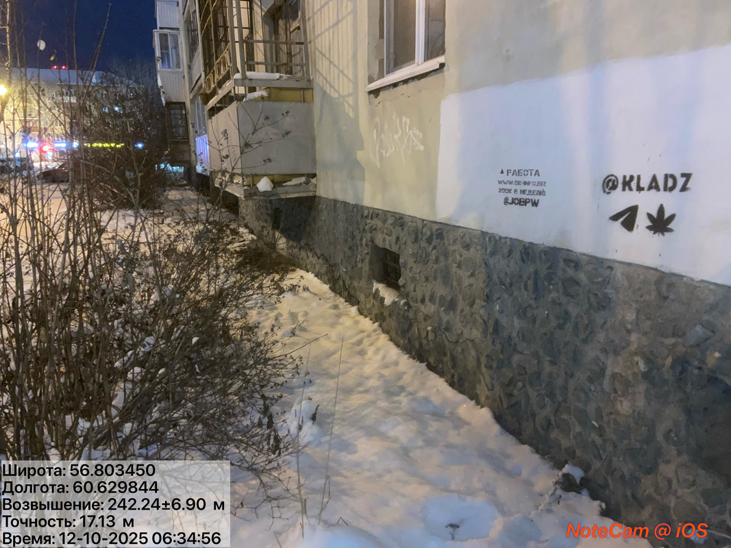 IMG 7834