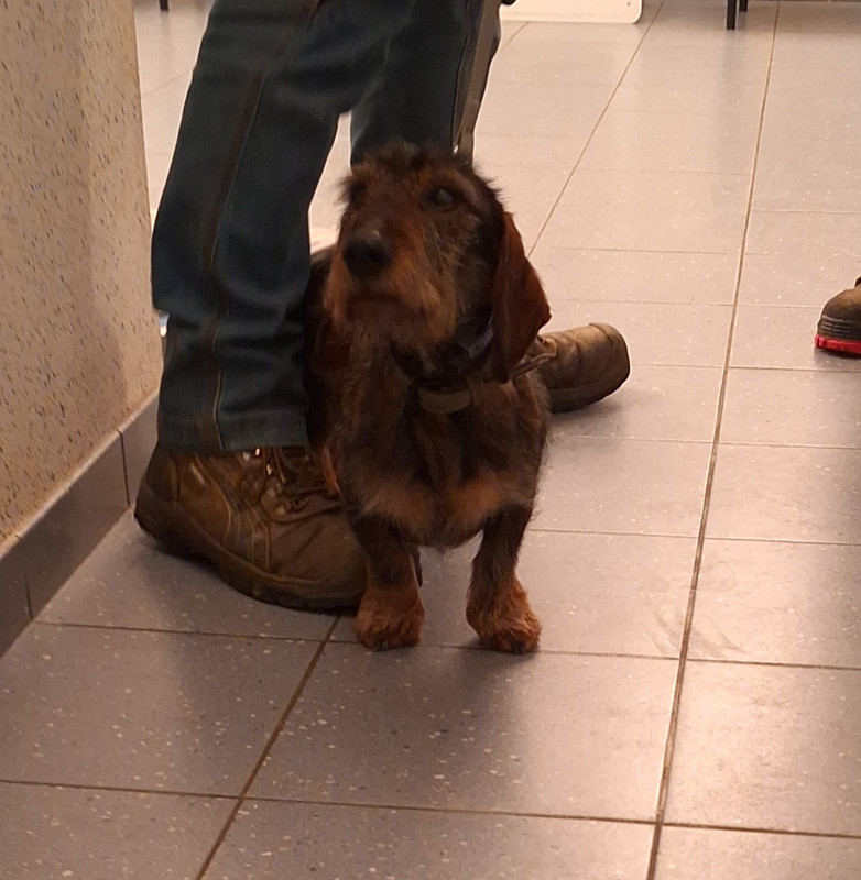 [Image: 20240109-173909.jpg]