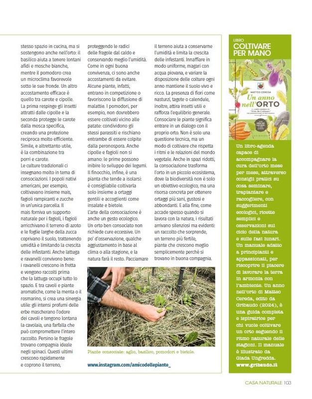 ca NAT Lug-Ago 2025 (8)