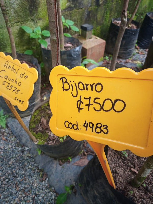 IMG_20221124_162242_103