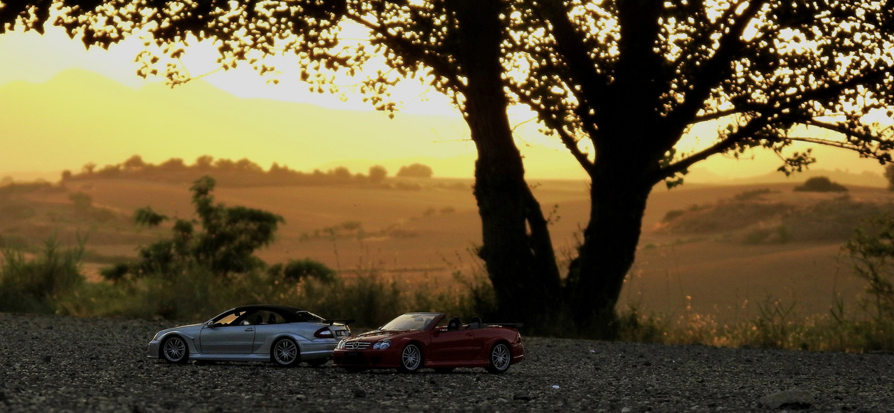 Screenshot 20260621 225541 Gallery