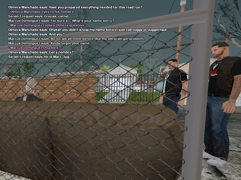 SSRoleplay402.png