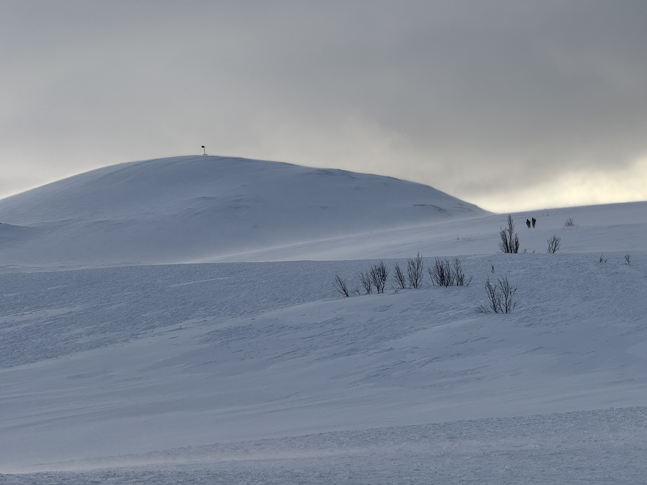 [Immagine: IMG-8062.jpg]