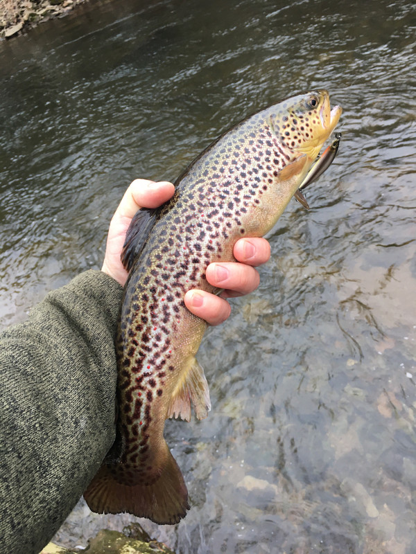 83C32D73-B3DF-4990-B91E-918C4122A6F1