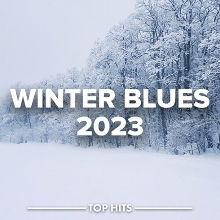 VA - Winter Blues 2023 (2022)