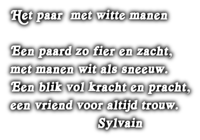 cooltext517116467564061