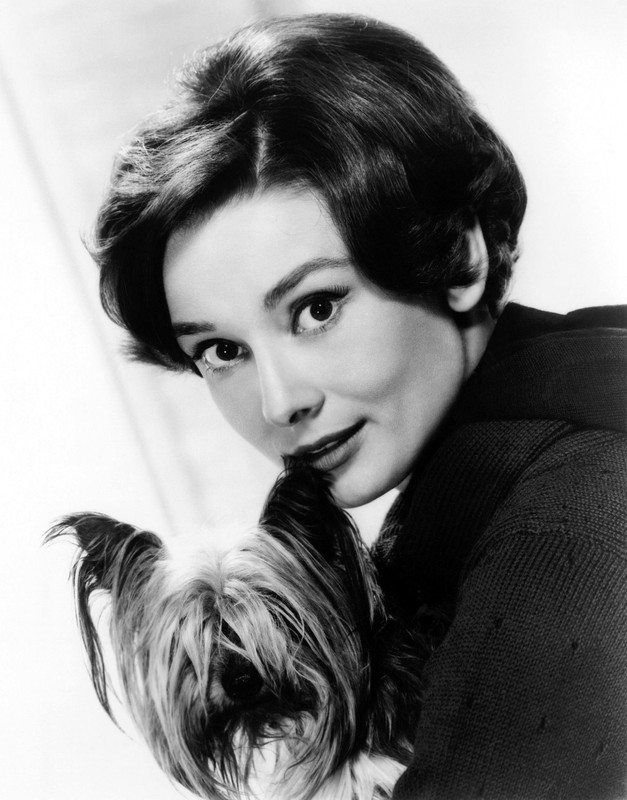 Audrey Hepburn mf65
