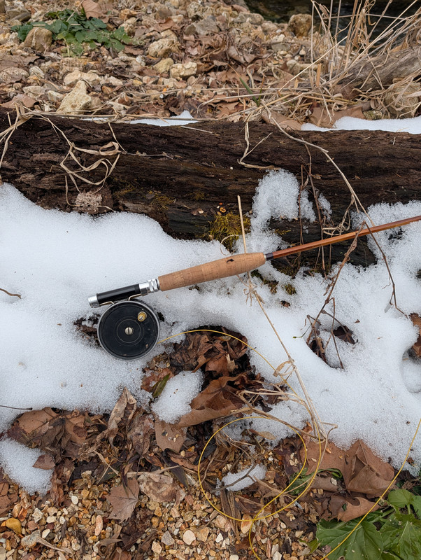 PXL 20260205 170900291