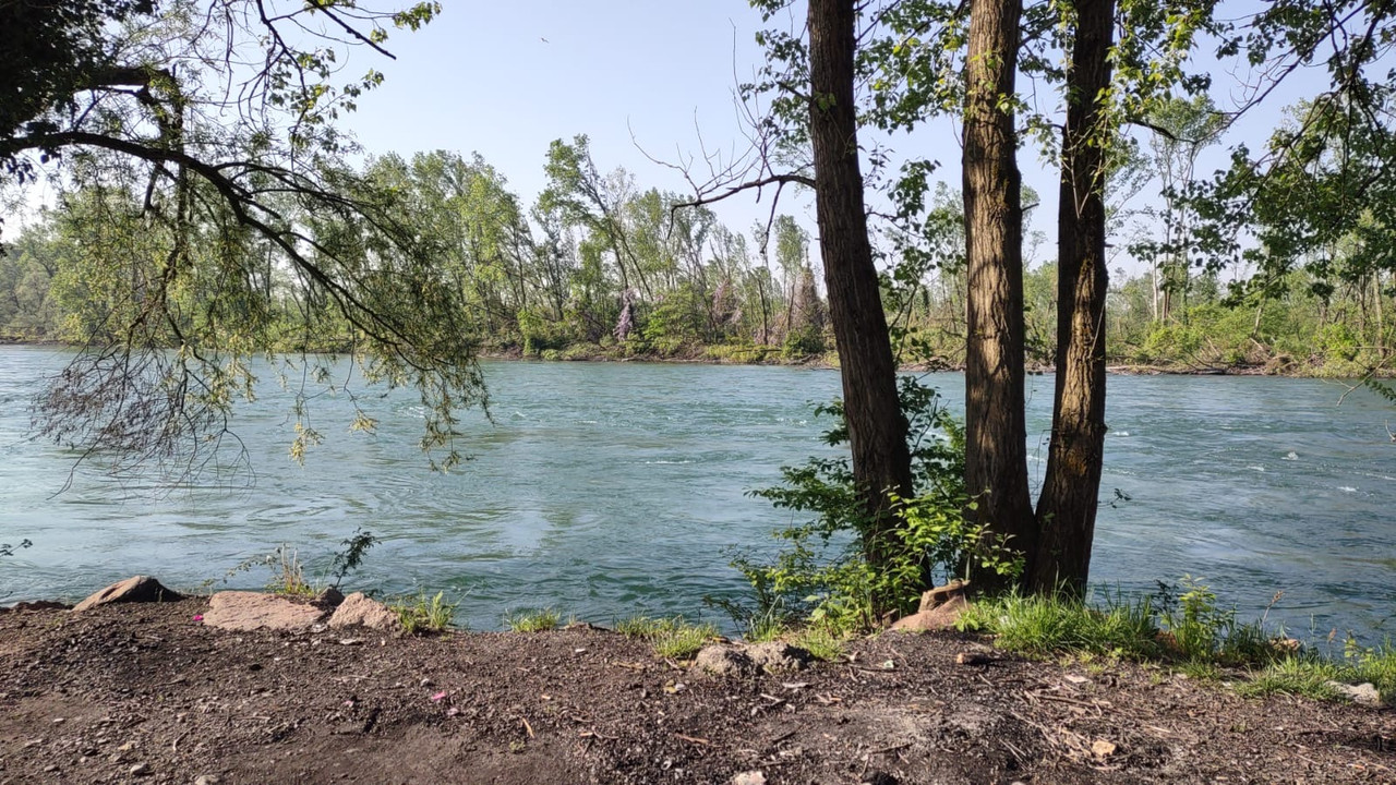 50bd6f3d-b36c-4bb1-808b-5cd986d18ae4