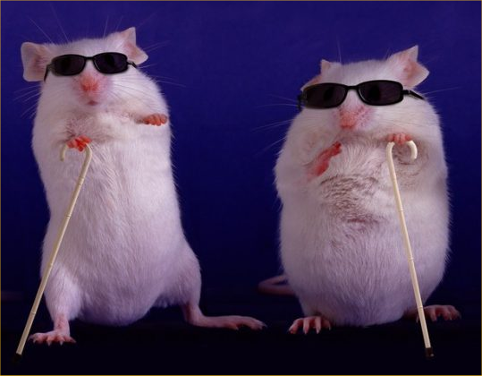 Two-Blind-Mice.png