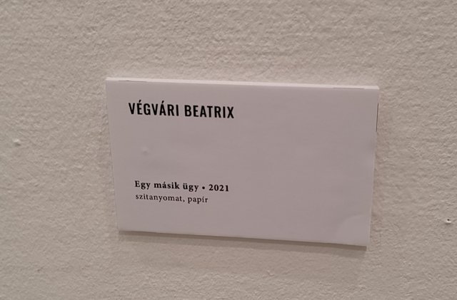 Kép