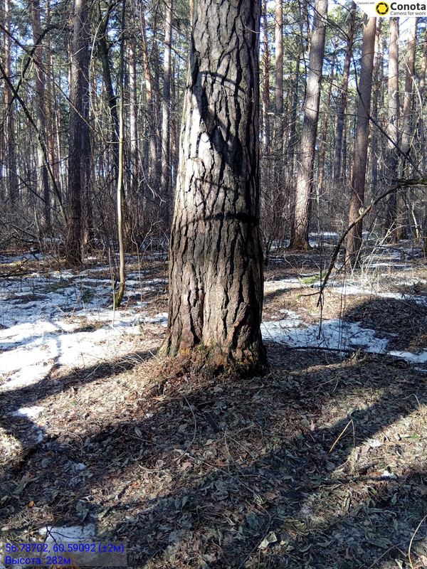 56 78702 60 59092 30032026 152907