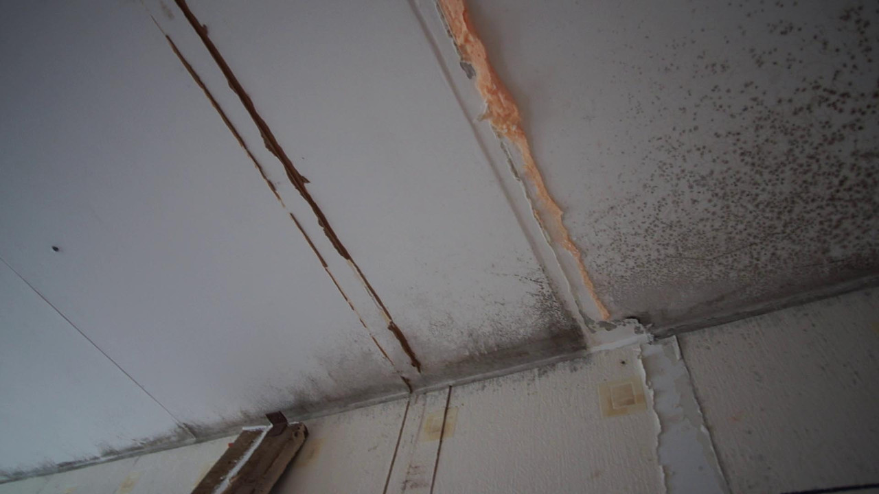 vlcsnap-2022-06-13-18h28m28s528